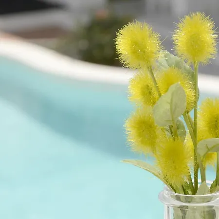 Gibshouses Rosa Apartamento Puerto del Carmen (Lanzarote)