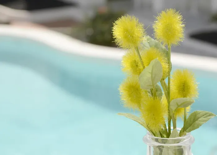 Gibshouses Rosa 아파트 푸에르토 델 카르멘